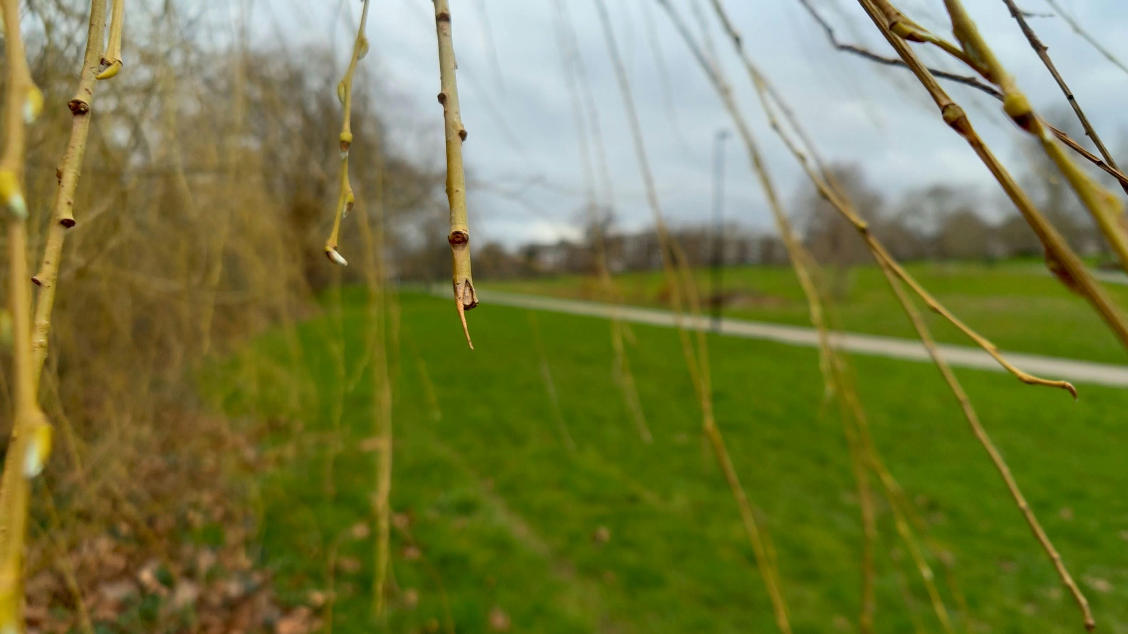 Super shallow depth of field.